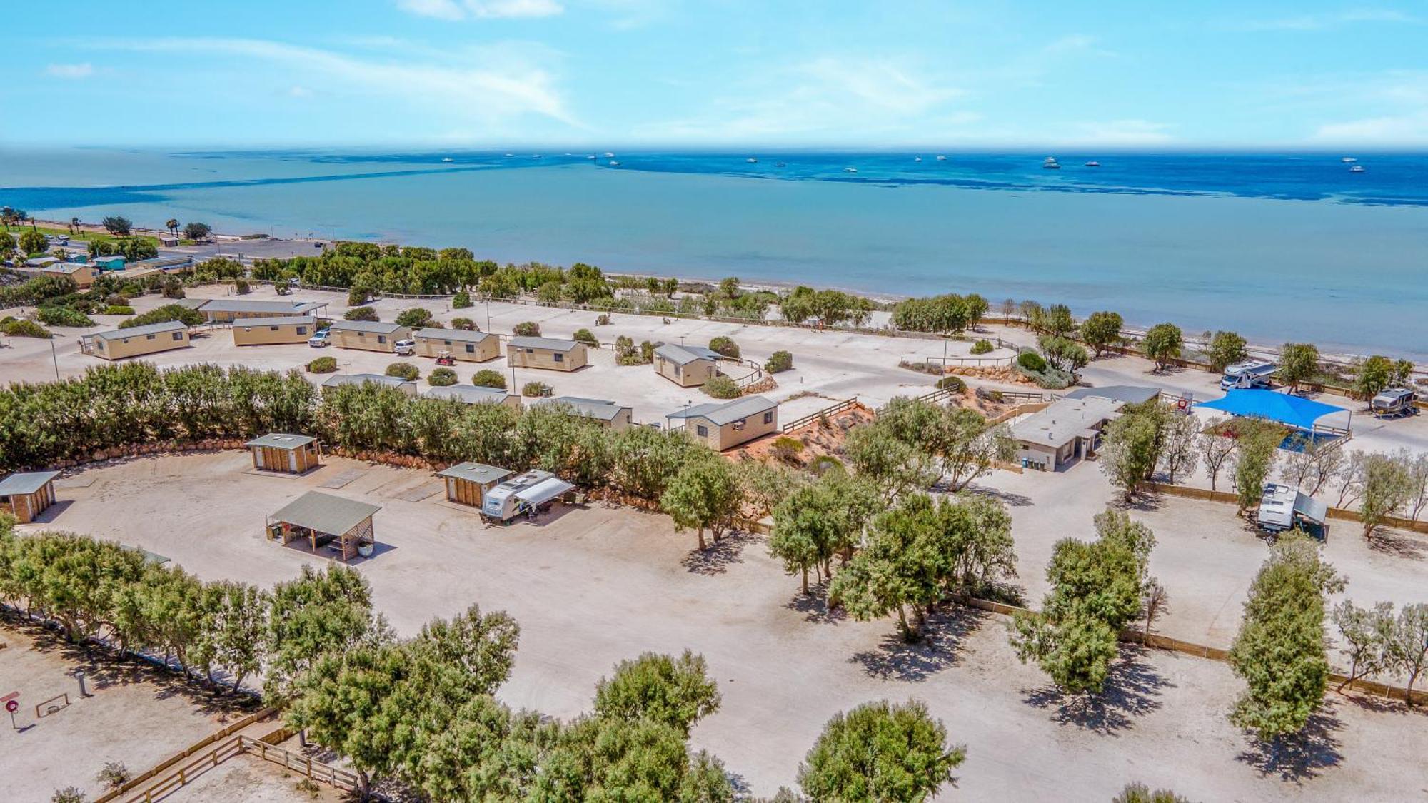 Tasman Holiday Parks - Denham Seaside Exterior foto